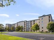 For Rent 2 Bedroom Apartment Windsor ON DS99507518