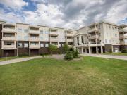 For Rent 2 Bedroom Apartment Winnipeg MB DS93147432