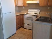 For Rent 2 Bedroom Apartment Winnipeg MB DS94865382