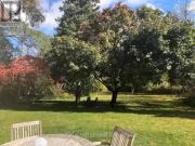 For Rent 2 Bedroom House Waterloo ON DS96884794