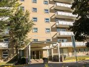 For rent: 38 Carluke Crescent Toronto, 1 bdrm Viewit |239874