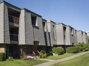 For Rent 3 Bedroom Apartment Calgary AB DS96586215