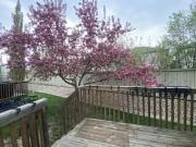 For Rent 3 Bedroom Apartment Edmonton AB DS93976338 For Rent 3 Bedroom Apartment Edmonton AB DS93976338