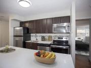 For Rent 3 Bedroom Apartment London ON DS96279686