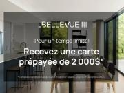 For Rent 3 Bedroom Apartment Montreal QC DS96589595