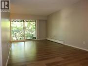 For Rent 3 Bedroom Apartment Richmond BC DS96845522