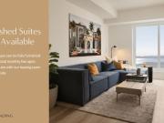 For Rent 3 Bedroom Apartment Toronto ON DS96295119