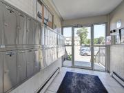 For Rent 3 Bedroom Apartment Waterloo ON DS96273707