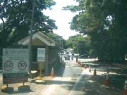 For Rent 3 storey H&L in Ayala Alabang Village