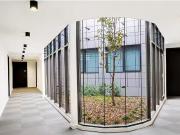 Cheap 43 Brisbane Street, Surry Hills Apartment for rent...