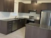 For Rent 4 Bedroom House Kitchener ON DS98785879