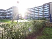 For Rent 4 Bedroom Shared Living/roommate London London...