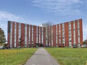 For rent: 90 Curtis Crescent Kingston, 1 bdrm Viewit |243143