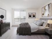 For Rent Apartment Edmonton AB DS99557598