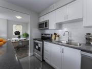 For Rent Apartment Kitchener ON DS96844128