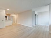 For Rent Apartment Montréal QC DS96336445