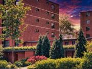 For Rent Apartment Toronto ON DS95029382