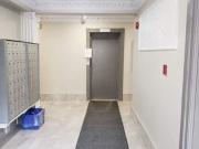 For Rent Apartment Toronto ON DS97005843