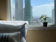 For Rent! Fully Furnished Studio at The Pearl Place...