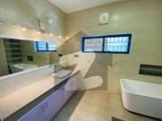FOR RENT Fully Renovated Double Storey House Available...