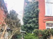 For rent: Main Street Kingston Toronto, 1 bdrm Viewit...