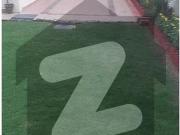 For Rent New Renovated Full House 10 Beds Attached Both...