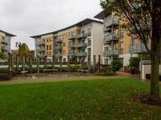 Cozy Olcovar, Shankill, Dublin 18 is for rent