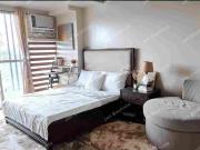 FOR RENT: Spacious Penthouse Studio with Parking near...