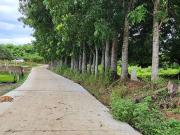 FOR SALE! 111,423 sqm / 11 Hectares Farm Lot at Angat,... FOR SALE! 111,423 sqm / 11 Hectares Farm Lot at Angat,...