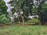 For Sale 150 sqm Lot in Hacienda Grande Subd. Catalunan...
