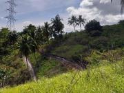 For Sale 17,881 Sqm Lot in Quiot, Pardo, Cebu City