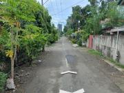 For Sale 1,250 sqm Lot near Mango or Gen. Maxilom...