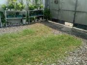 FOR SALE! 200sqm Residential Lot in Malambing Street UP...