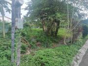 FOR SALE: 300 sqm lot in sacred heart village Caloocan city