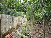 FOR SALE! 30,000 sqm / 3 HA Industrial Lot near SLEX at...
