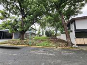 FOR SALE: 336 SQM Residential Lot in BF Homes,...