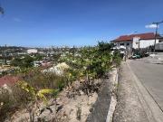 FOR SALE: 392sqm Overlooking Lot in Guadalupe, Cebu City