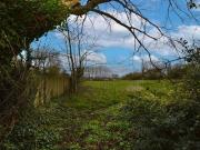 For Sale 3 Bedroom House Warrington Warrington DS94422530