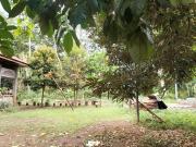 For Sale: 400 sqm House and Lot in Brgy. Talomo River,...