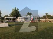 FOR SALE 40 Kanal Farmhouse Prime Location Available...
