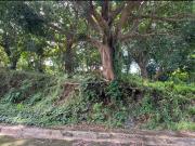 FOR SALE 459 sqm Vacant Lot in Eastland Heights,...