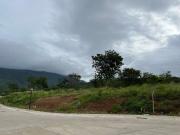 FOR SALE! 469 sqm Residential Lot at Ayala Greenfield...