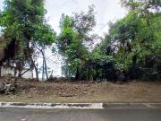 For Sale! 484 sqm Residential Lot in Parkridge Estate...