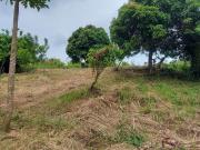 FOR SALE! 4,050 sqm Vacant Lot at Tolentino West...
