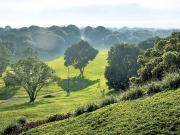 FOR SALE! 510 sqm Residential Lot at Phase 10 Ayala...