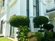 For Sale: 5 Bedrooms Corner House and Lot in Mahogany,...