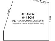 Plainview Mandaluyong Prime Lot for Sale – 636 sqm | 20m...