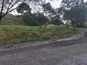 FOR SALE: 778 SQM Residential Lot in Parkridge Estate,...
