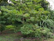 796 sqm Marina Baytown East Lot, Parañaque For Sale