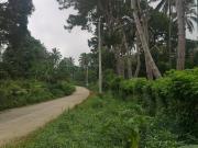 For Sale 7.2 Hectares Agricultural Lot in Eden Toril in...